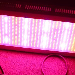 600W LED Full Spectrum Plant Grow Light Vegetables